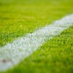 Calcio generica