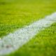 Calcio generica