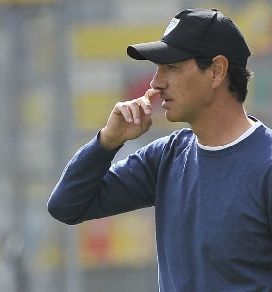 Nesta