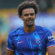 Renato Veiga