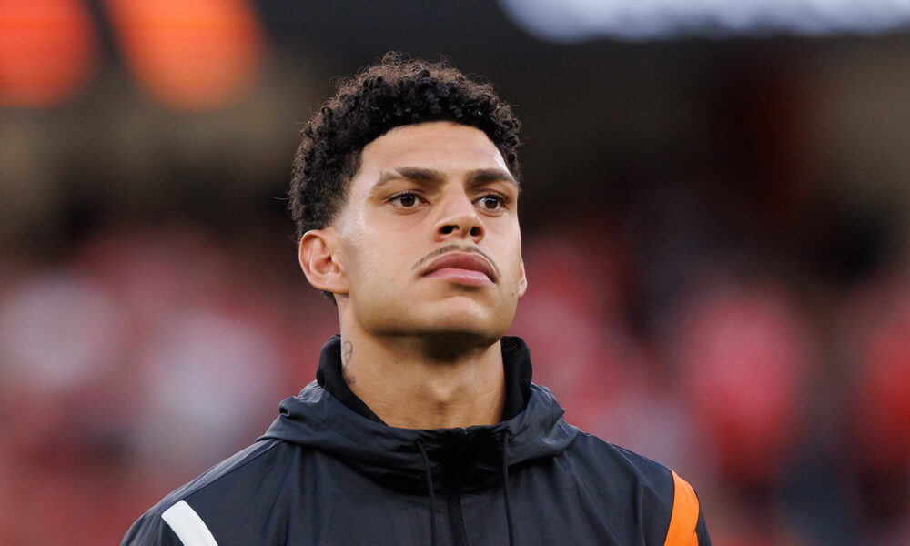 Luis Henrique